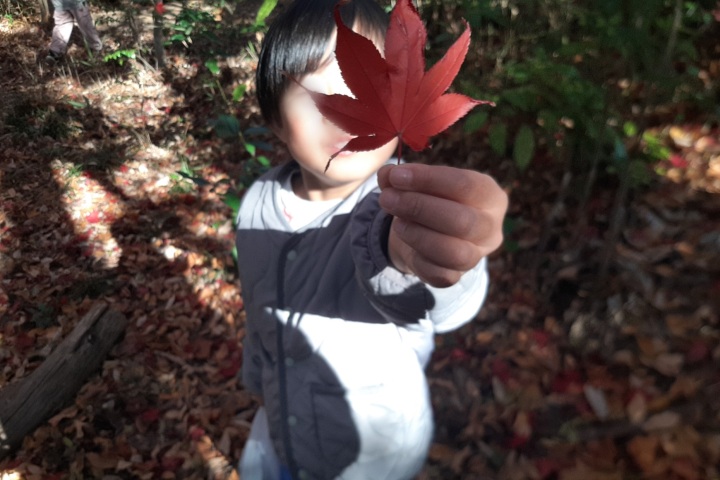 もみじ見つけたよ！