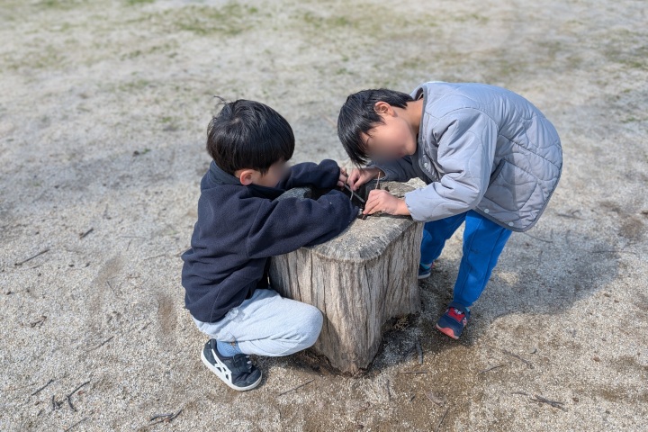 きのね　朝宮公園にて